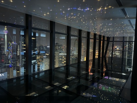 IMG_7215_lexisimperial_skydeck