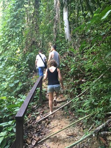 gaya_island_resort_nnaturetrail32