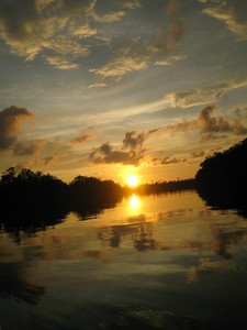 river_safari20