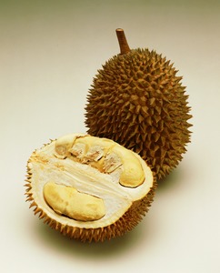 1132_durian