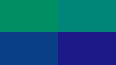 色と心理効果 派手な色 地味な色 Color For Invisible Man カラホm