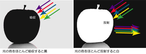 色と知識 物体の色 Color For Invisible Man カラホm