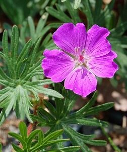 A0066_picture_normal[1]