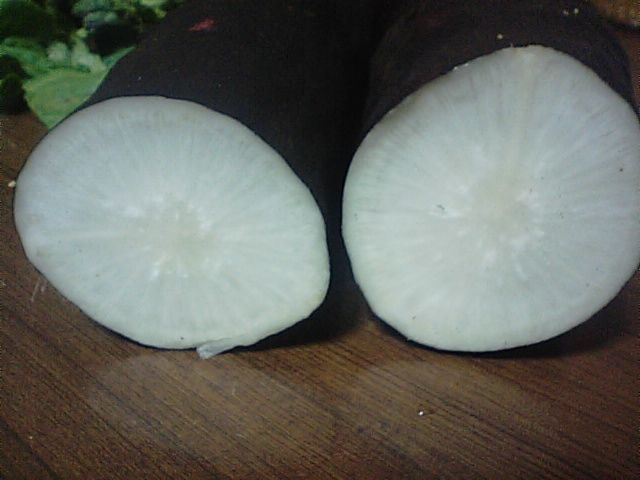 ラディッシュ ブラック スパニッシュロング 西洋野菜 だいこん 食品食材探訪記 自分図鑑 Since 08 July