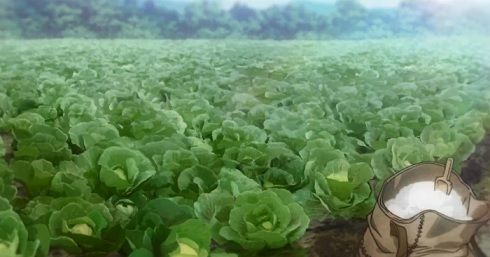 炭酸カルシウムの使い道 その一 炭酸カルシウムの使い道 その一 アニメ Dr Stone 二話 食品食材探訪記 自分図鑑 Since 08 July