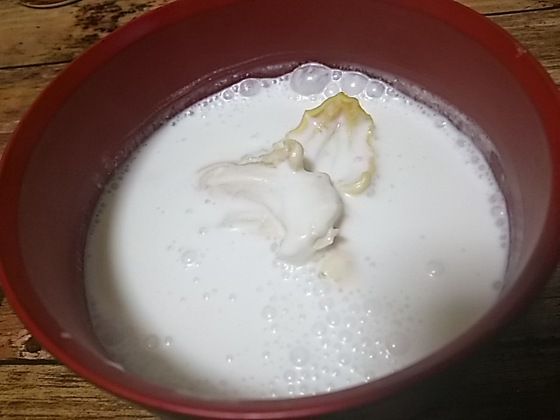 ココナツスープ ツバル 食品食材探訪記 自分図鑑 Since 08 July