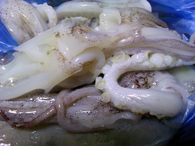 イカのゲソ イカ部位 食品食材探訪記 自分図鑑 Since 08 July