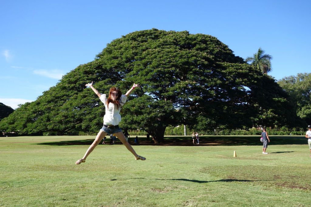 この木なんの木の前でジャンプしてみた Muaygoのblog