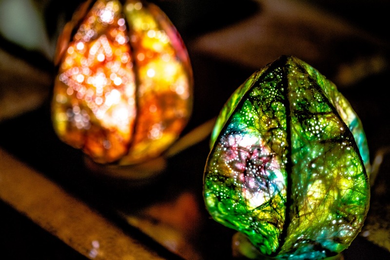 10830449_852635251446121_1404417582070116452_o