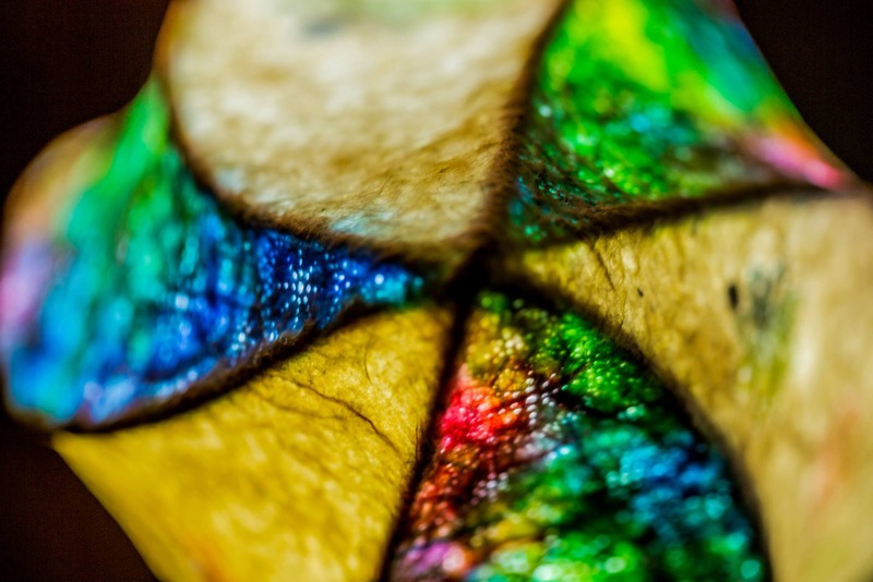 10382298_852635011446145_5097281523192115445_o