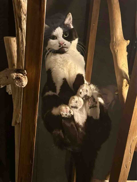 FullSizeRender
