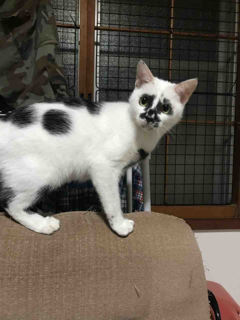 8321B09D-A37E-41D8-80C4-C6FA9D759B16