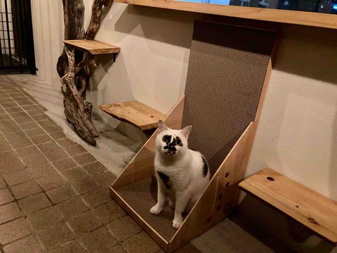 FullSizeRender