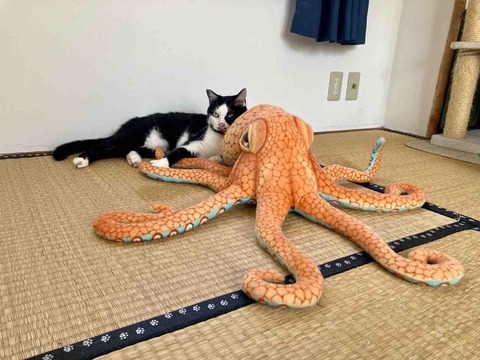 FullSizeRender