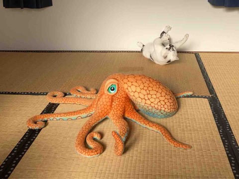 FullSizeRender