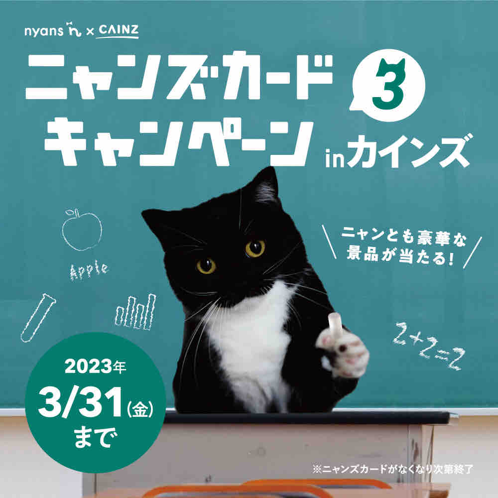 カインズにゃん祭り2025