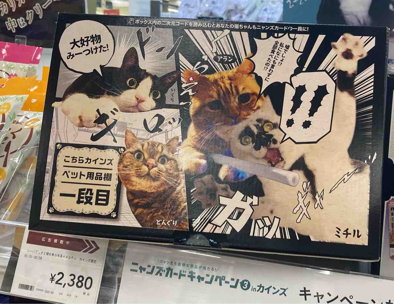 ニャンズカードキャンペーン in カインズ : 海の近くに猫と住んでる