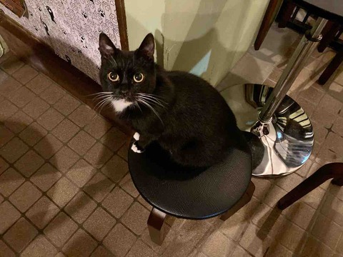 FullSizeRender