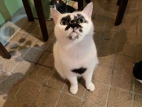 FullSizeRender