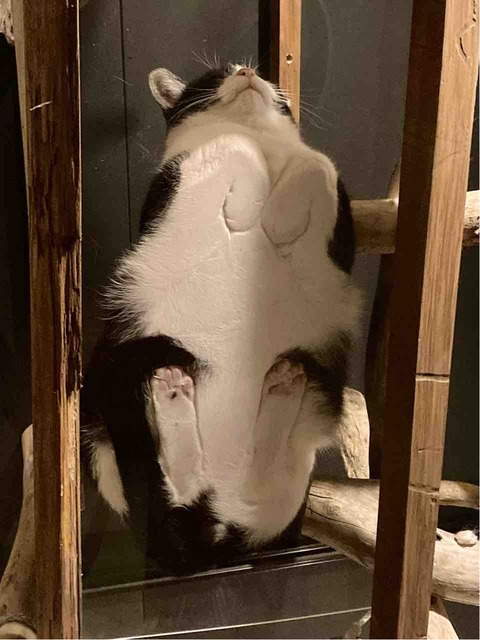 FullSizeRender