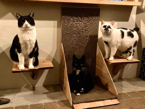 FullSizeRender
