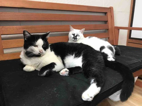 682892E5-273E-4900-ABC2-B26B655A8A25