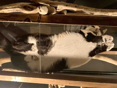 FullSizeRender