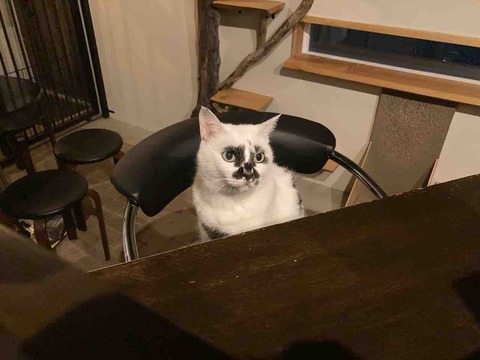 C7ED9688-A73C-4FE6-9AE1-3C227032D0F4