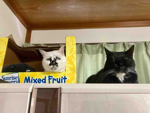 FullSizeRender