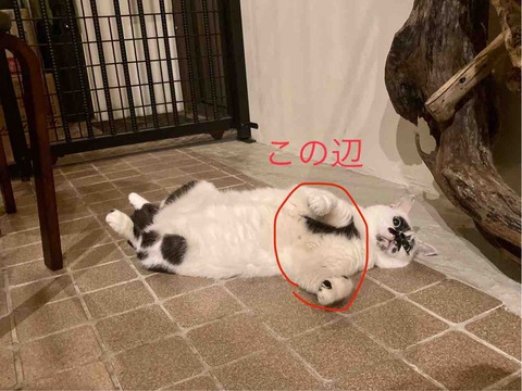 FullSizeRender