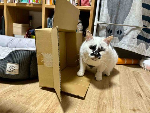 FullSizeRender