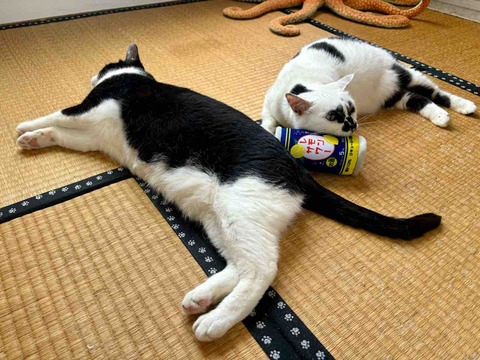 FullSizeRender