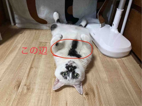 FullSizeRender