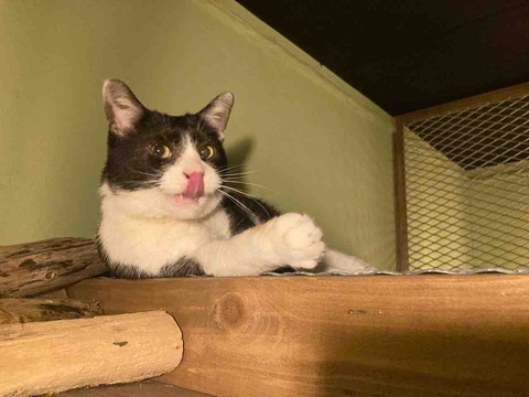 188943CB-7255-413F-B5C1-B279DFD33C81