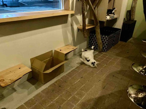 FullSizeRender
