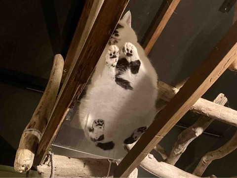 FullSizeRender