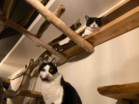 IMG_0100