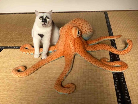 FullSizeRender