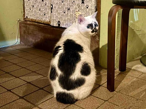 FullSizeRender