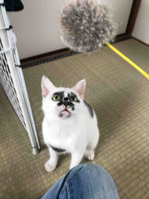 3326DCEE-E2B6-4DB2-A1E0-C902752101CA