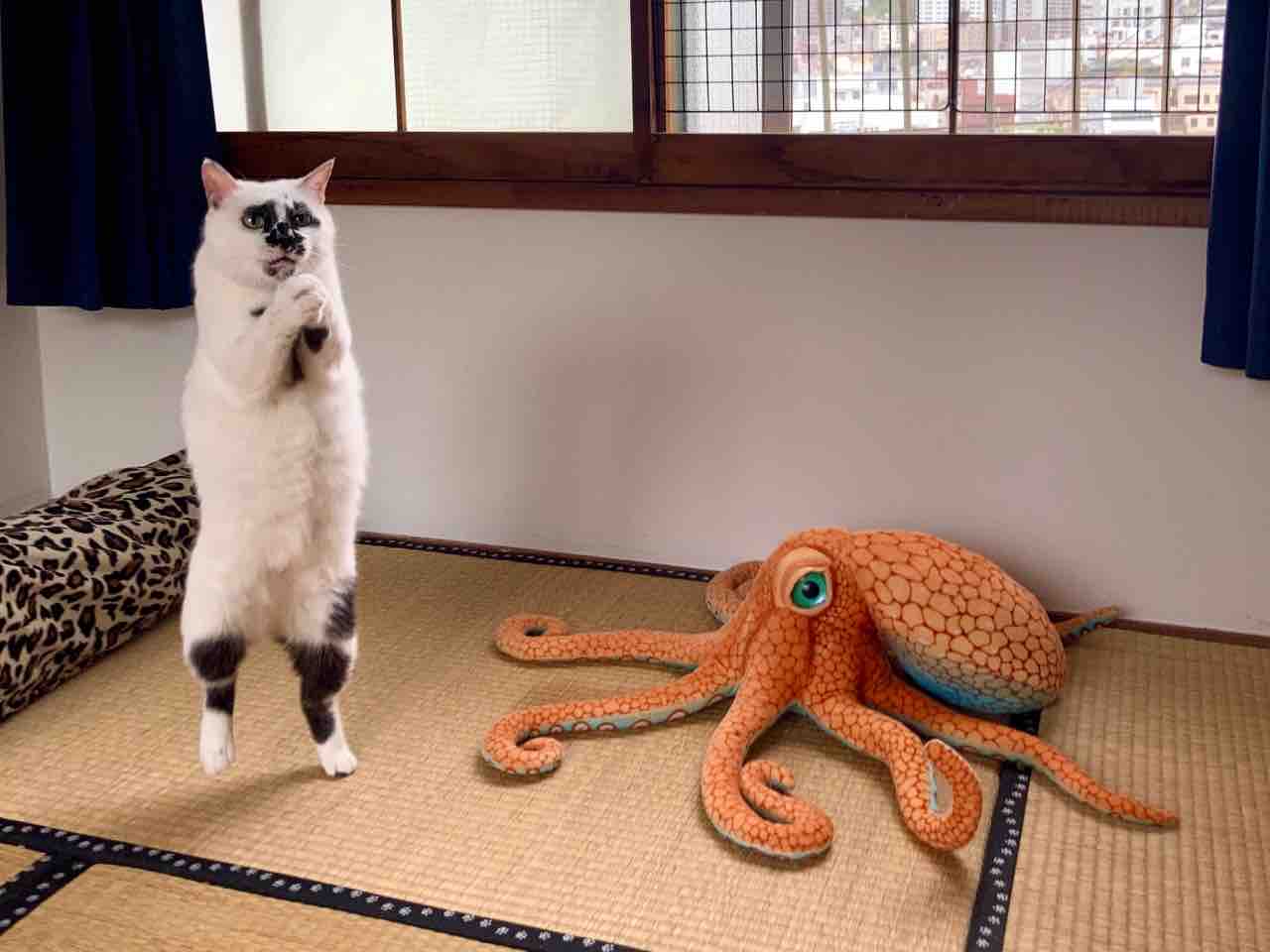 まっくろくろすけつかまえた 海の近くに猫と住んでる まっくろくろすけつかまえた 海の近くに猫と住んでる