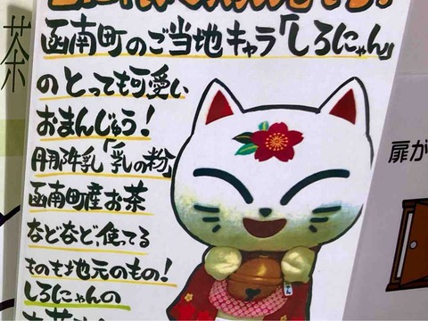函南町は猫の町 海の近くに猫と住んでる