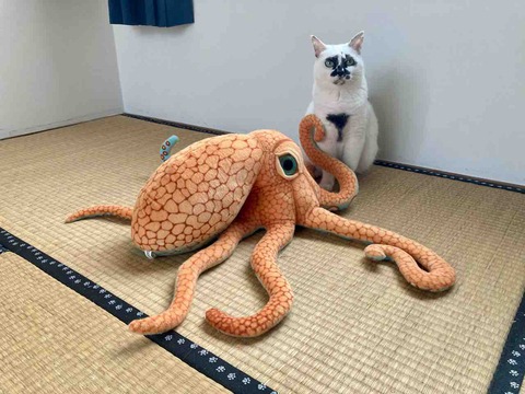 FullSizeRender