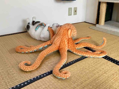 FullSizeRender
