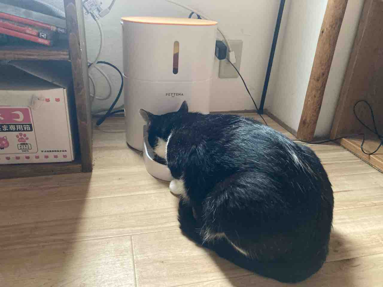 PR】PETTENAさんの自動給餌器 : 海の近くに猫と住んでる