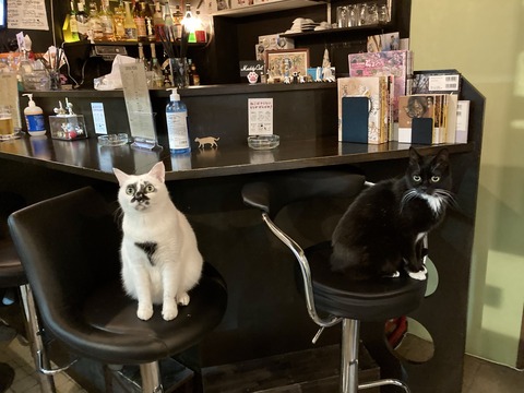 店内