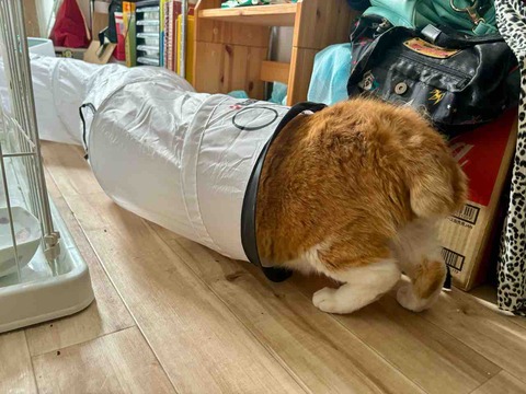 FullSizeRender