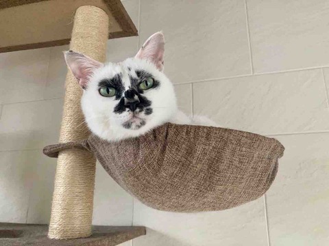FullSizeRender