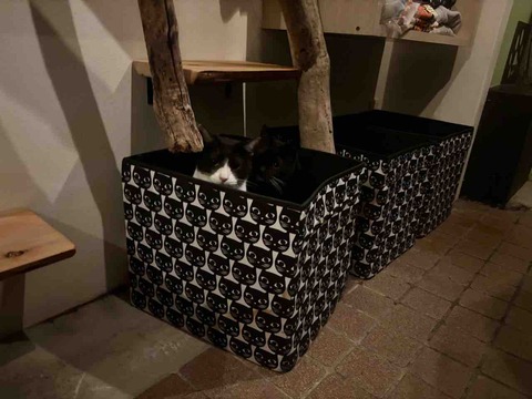 FullSizeRender