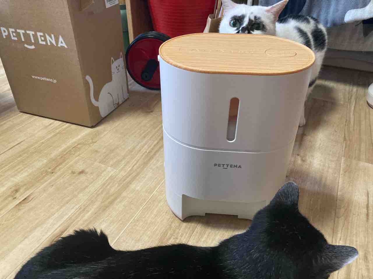 PR】PETTENAさんの自動給餌器 : 海の近くに猫と住んでる
